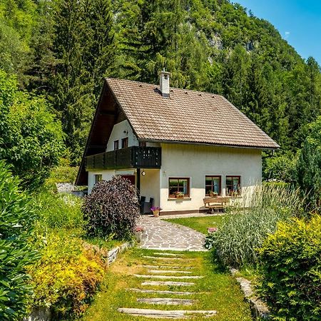 Hisa Nasproti Sonca Vila Kranjska Gora Exterior foto